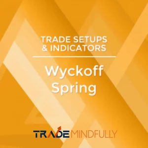 High odds trade setup utilizing the Wyckoff trading technique taught by Dr. Gary